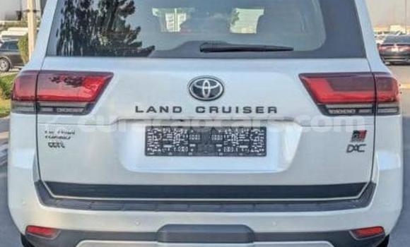 Buy Used Toyota Land Cruiser White Car in Willemstad in Curacao Buy Used Toyota Land Cruiser White Car in Willemstad in Curacao