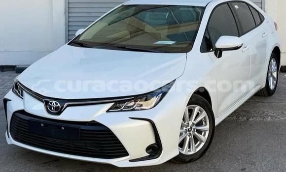 Buy Used Toyota Corolla White Car in Willemstad in Curacao
