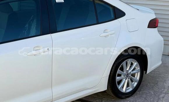 Buy Used Toyota Corolla White Car in Willemstad in Curacao Buy Used Toyota Corolla White Car in Willemstad in Curacao