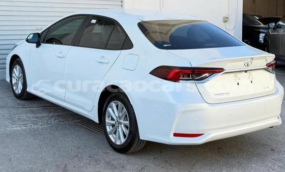 Buy Used Toyota Corolla White Car in Willemstad in Curacao Buy Used Toyota Corolla White Car in Willemstad in Curacao