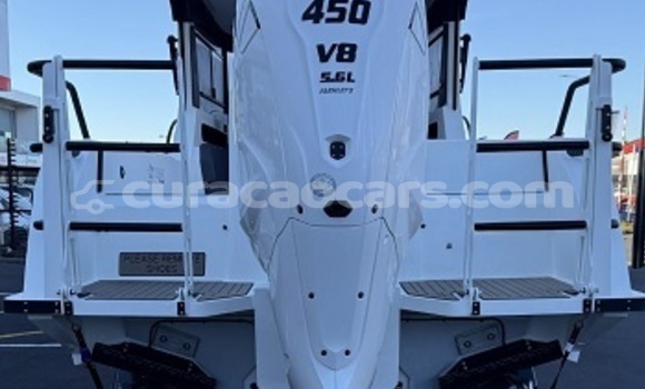 Buy Used ZX Landmark White Car in Willemstad in Curacao