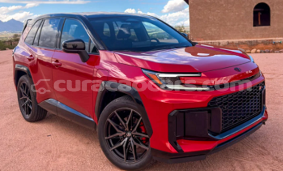 Buy Used Toyota RAV4 Other Car in Willemstad in Curacao