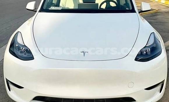 Buy Used Tesla Model S White Car in Willemstad in Curacao