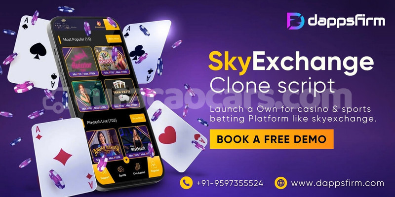 Big with watermark skyexchange clone script