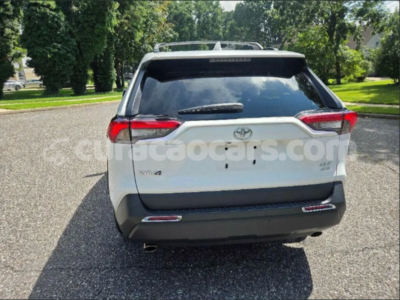 Big with watermark toyota rav4 curacao dorp soto 4762