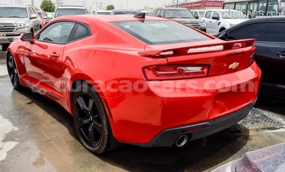 Buy Import Chevrolet Camaro Red Car in Import - Dubai in Curacao Buy Import Chevrolet Camaro Red Car in Import - Dubai in Curacao