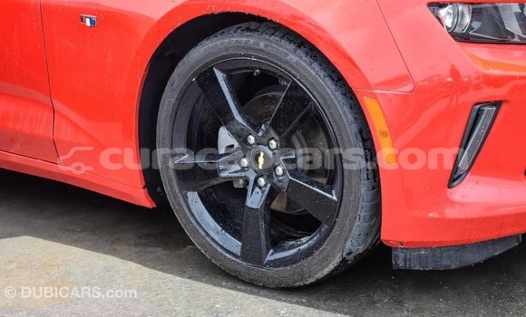 Buy Import Chevrolet Camaro Red Car in Import - Dubai in Curacao Buy Import Chevrolet Camaro Red Car in Import - Dubai in Curacao