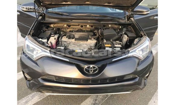 Buy Import Toyota HiAce Black Truck in Import - Dubai in Curacao Buy Import Toyota HiAce Black Truck in Import - Dubai in Curacao