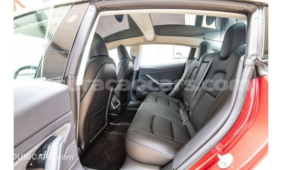 Buy Import Tesla Model 3 Red Car in Import - Dubai in Curacao Buy Import Tesla Model 3 Red Car in Import - Dubai in Curacao