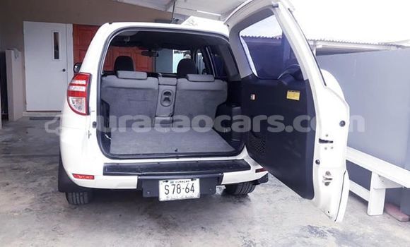 Buy Used Toyota RAV4 White Car in Willemstad in Curacao