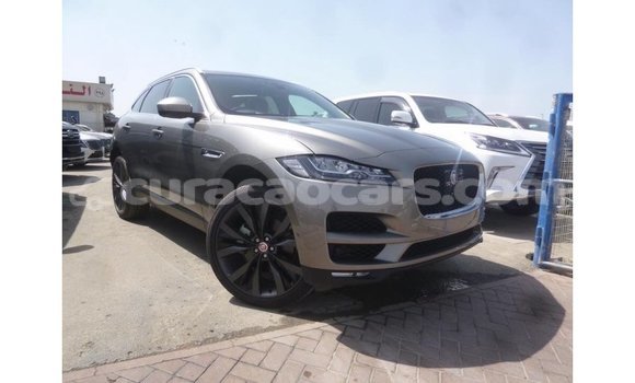 Buy Import Jaguar F-Pace Other Car in Import - Dubai in Curacao