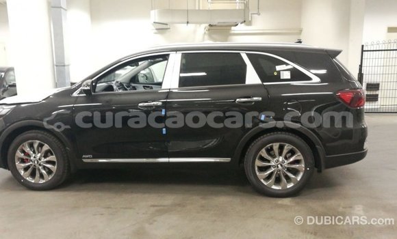 Buy Import Kia Sorento Brown Car in Import - Dubai in Curacao Buy Import Kia Sorento Brown Car in Import - Dubai in Curacao