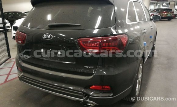 Buy Import Kia Sorento Brown Car in Import - Dubai in Curacao Buy Import Kia Sorento Brown Car in Import - Dubai in Curacao