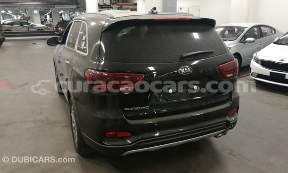 Buy Import Kia Sorento Brown Car in Import - Dubai in Curacao Buy Import Kia Sorento Brown Car in Import - Dubai in Curacao
