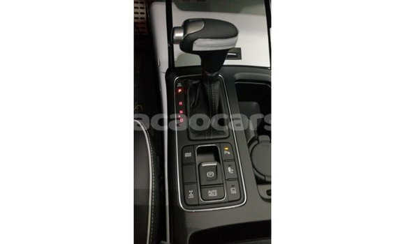 Buy Import Kia Sorento Brown Car in Import - Dubai in Curacao Buy Import Kia Sorento Brown Car in Import - Dubai in Curacao