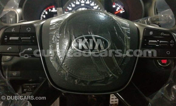Buy Import Kia Sorento Brown Car in Import - Dubai in Curacao Buy Import Kia Sorento Brown Car in Import - Dubai in Curacao
