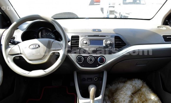 Buy Import Kia Picanto White Car in Import - Dubai in Curacao Buy Import Kia Picanto White Car in Import - Dubai in Curacao