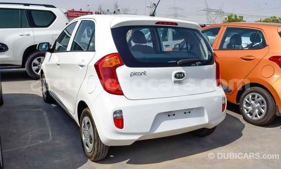 Buy Import Kia Picanto White Car in Import - Dubai in Curacao Buy Import Kia Picanto White Car in Import - Dubai in Curacao