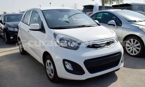 Buy Import Kia Picanto White Car in Import - Dubai in Curacao Buy Import Kia Picanto White Car in Import - Dubai in Curacao