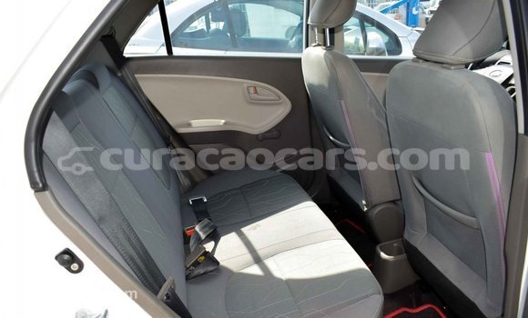 Buy Import Kia Picanto White Car in Import - Dubai in Curacao Buy Import Kia Picanto White Car in Import - Dubai in Curacao