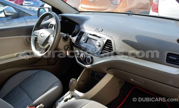 Buy Import Kia Picanto Brown Car in Import - Dubai in Curacao Buy Import Kia Picanto Brown Car in Import - Dubai in Curacao