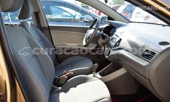 Buy Import Kia Picanto Brown Car in Import - Dubai in Curacao Buy Import Kia Picanto Brown Car in Import - Dubai in Curacao