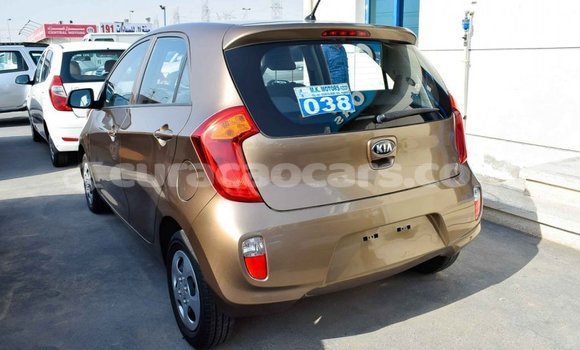 Buy Import Kia Picanto Brown Car in Import - Dubai in Curacao Buy Import Kia Picanto Brown Car in Import - Dubai in Curacao