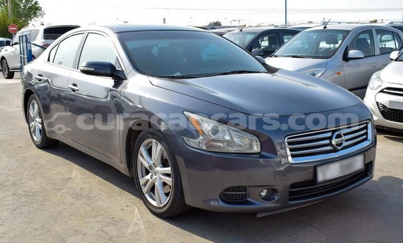 Buy Import Nissan Maxima Other Car in Import - Dubai in Curacao Buy Import Nissan Maxima Other Car in Import - Dubai in Curacao