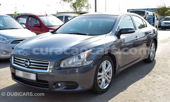 Buy Import Nissan Maxima Other Car in Import - Dubai in Curacao Buy Import Nissan Maxima Other Car in Import - Dubai in Curacao
