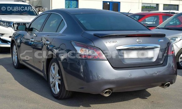 Buy Import Nissan Maxima Other Car in Import - Dubai in Curacao Buy Import Nissan Maxima Other Car in Import - Dubai in Curacao