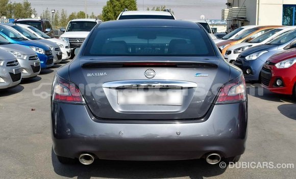 Buy Import Nissan Maxima Other Car in Import - Dubai in Curacao Buy Import Nissan Maxima Other Car in Import - Dubai in Curacao