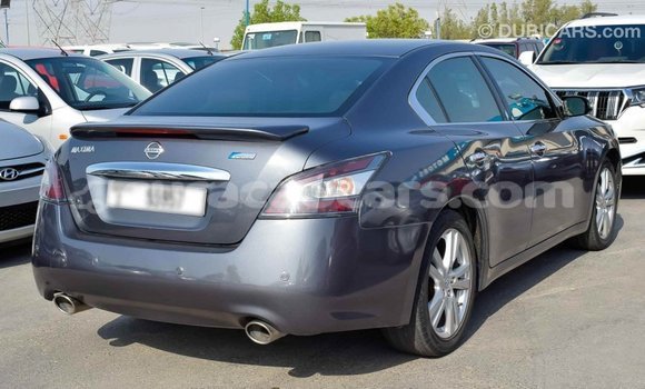 Buy Import Nissan Maxima Other Car in Import - Dubai in Curacao Buy Import Nissan Maxima Other Car in Import - Dubai in Curacao