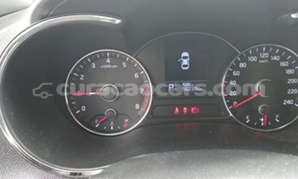 Buy Used Kia Cerato White Car in Willemstad in Curacao