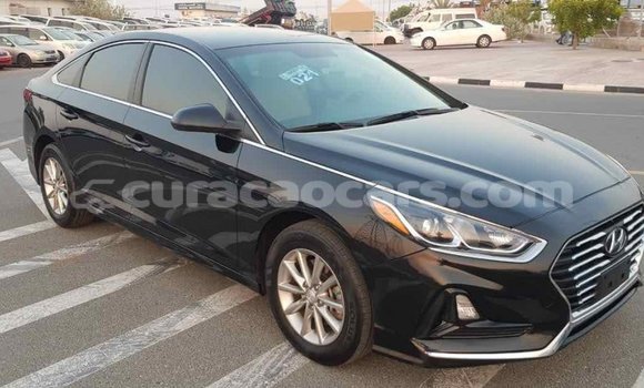 Buy Import Hyundai Sonata Black Car in Import - Dubai in Curacao Buy Import Hyundai Sonata Black Car in Import - Dubai in Curacao