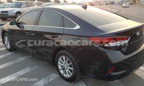 Buy Import Hyundai Sonata Black Car in Import - Dubai in Curacao Buy Import Hyundai Sonata Black Car in Import - Dubai in Curacao