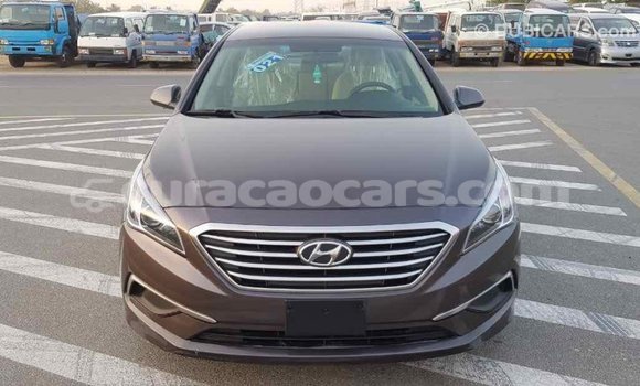 Buy Import Hyundai Sonata Brown Car in Import - Dubai in Curacao Buy Import Hyundai Sonata Brown Car in Import - Dubai in Curacao
