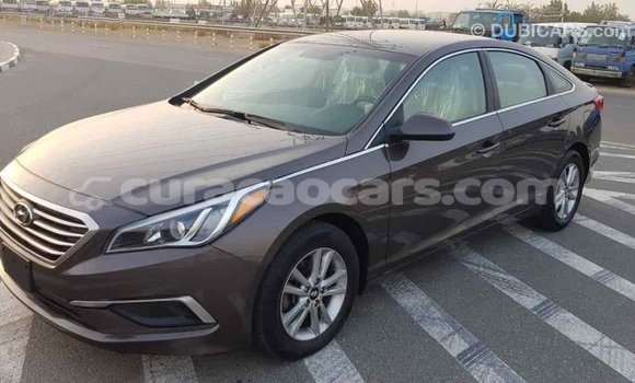 Buy Import Hyundai Sonata Brown Car in Import - Dubai in Curacao Buy Import Hyundai Sonata Brown Car in Import - Dubai in Curacao