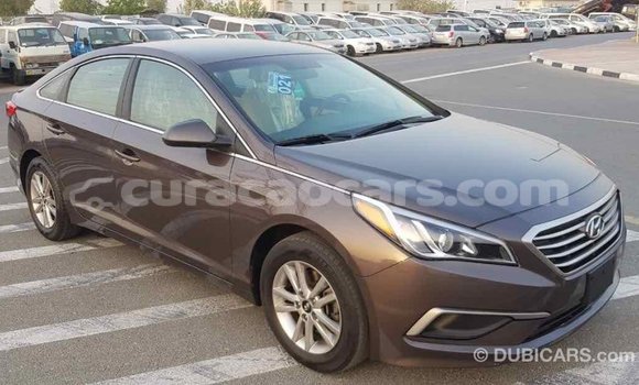 Buy Import Hyundai Sonata Brown Car in Import - Dubai in Curacao Buy Import Hyundai Sonata Brown Car in Import - Dubai in Curacao