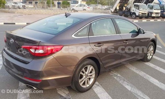Buy Import Hyundai Sonata Brown Car in Import - Dubai in Curacao Buy Import Hyundai Sonata Brown Car in Import - Dubai in Curacao