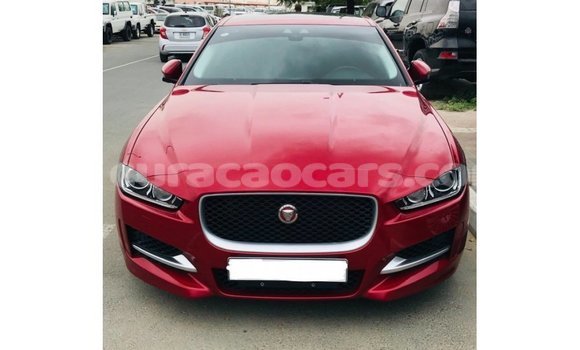 Buy Import Jaguar XE Red Car in Import - Dubai in Curacao